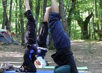 семинар йоги в Крыму