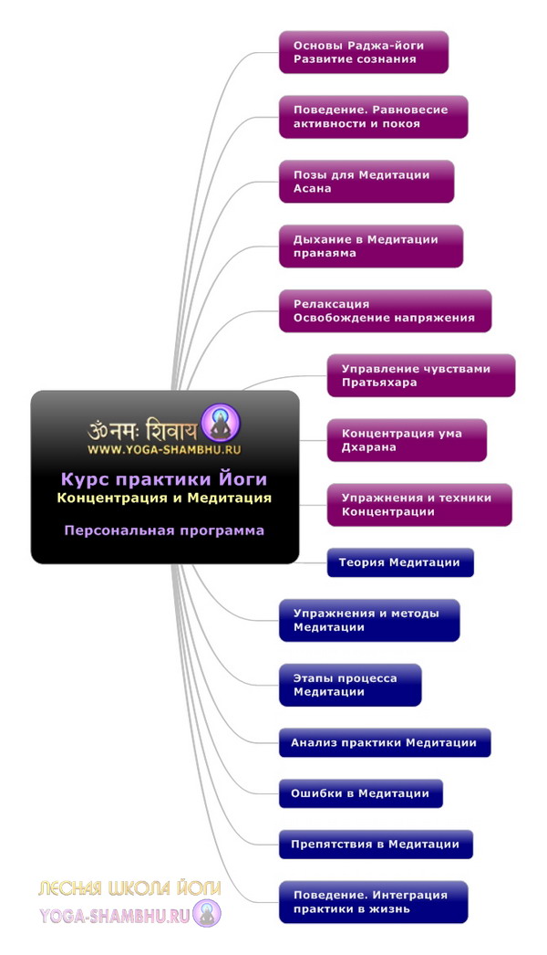 курс практики йоги Концентрация и Медитация