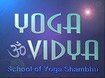 Йога Видья - рассылка материалов йоги