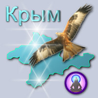 Лесная Йога Крыма