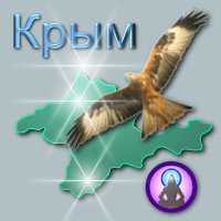 стоимость семинара йоги