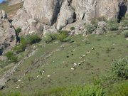Семинары и йога в Симферополе Крым