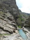 Семинары и йога в Симферополе Крым