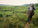 Читван джунгли поездка на слонах