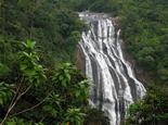 январский тур в Шри-Ланку
